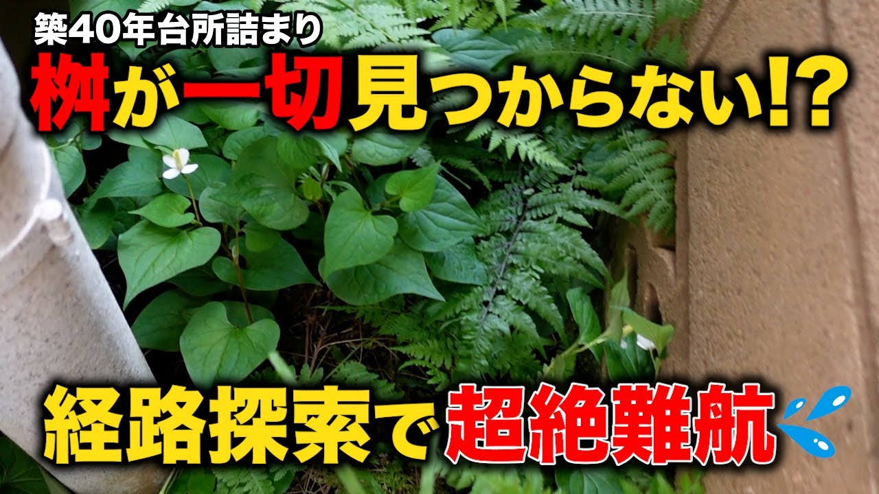 築４０年台所詰まり！リフォームしてすぐに詰まった！？見当たらない排水桝！花、超絶難航案件か？【花のお掃除 #418】
