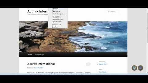 Floating Social Media Icon Plugin for Wordpress in Action (Updated User Interface..More Features)