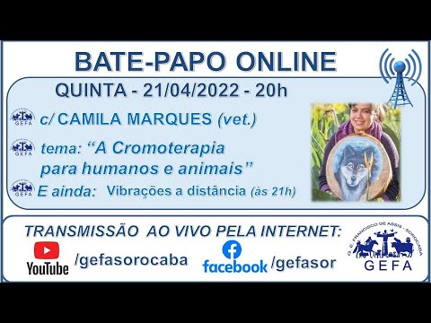 Assista: Bate-papo online - c/ CAMILA MARQUES (21/04/2022)