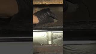 The Best Way to Prevent Car Rust - Cheap & Simple     #shorts #autobodypaint #autobodyrepair