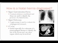 Hiatal Hernias