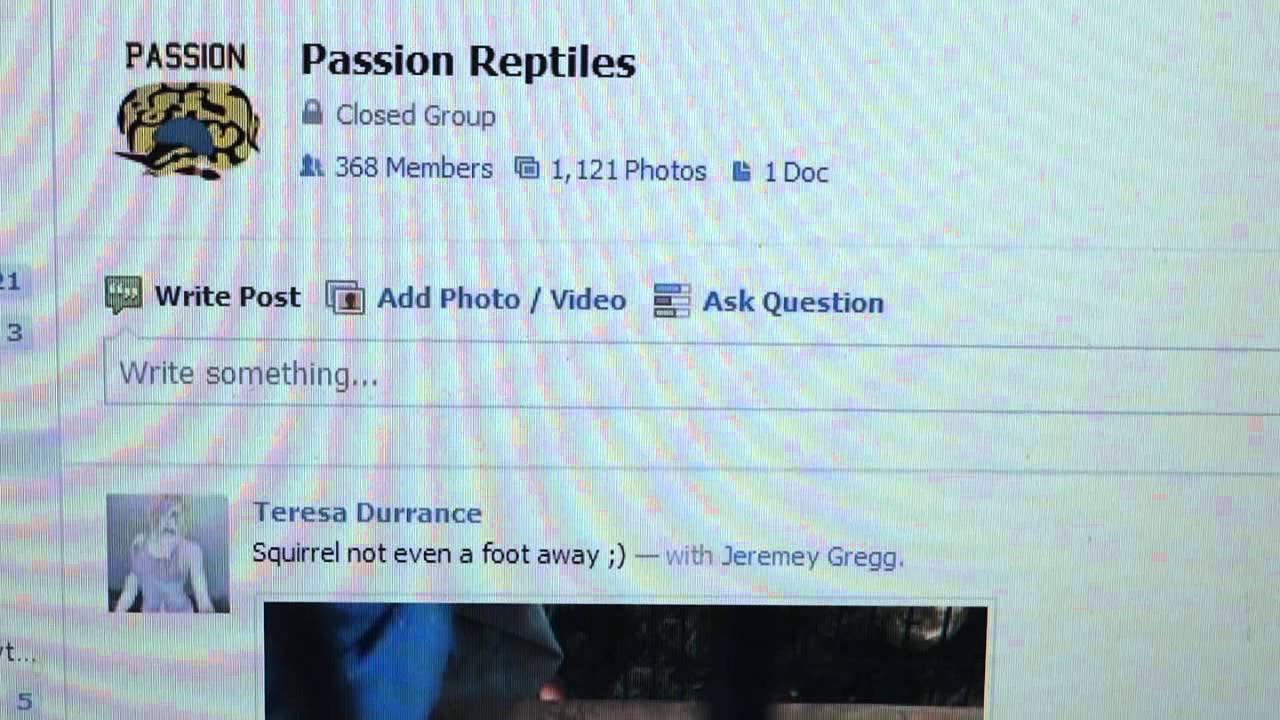 Passion Reptiles Group on Facebook