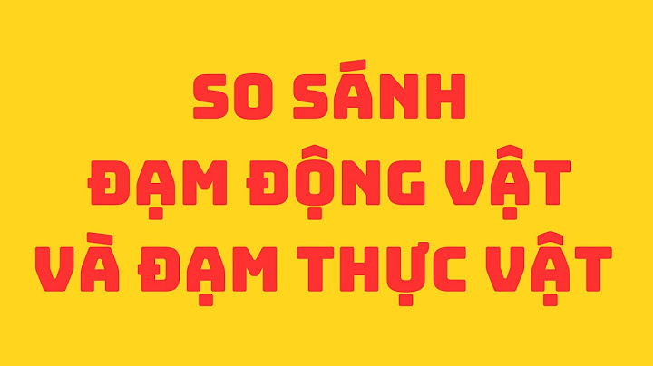 So sánh đạm động vật và thực vật năm 2024