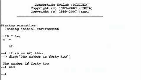 Conditional Branching - Hindi