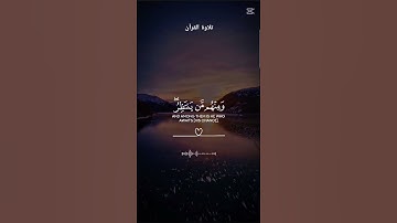 تلاوة القرآن  من الاية 23. من سورة الأحزاب #اكسبلور #راحة_نفسية #لايك