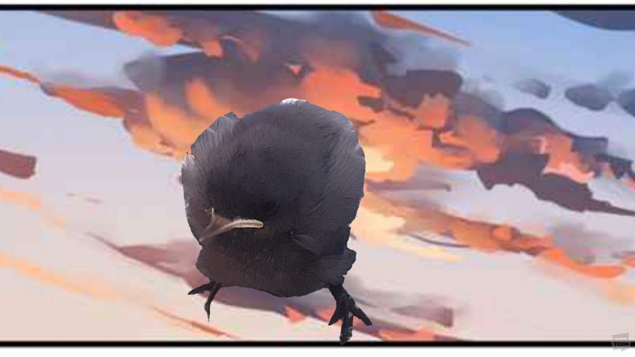 Nouveau Petit Gars Dans La Chaine Cute Oiseau Bebe Youtube