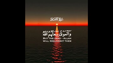 إنما يستجيب الذين يسمعون والموتى يبعثهم الله ثم إليه يرجعون   سورة الأنعام   القارئ عمر ضياء الدين