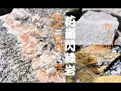 Igneous rock [Granite / Granodiorite] 花崗岩・花崗閃緑岩 ペグマタイトとアプライト　Pegmatite/Aplite (師崎羽豆岬) 火成岩