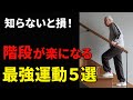 【60歳以上必見】階段を楽に登るために絶対やるべき最強エクササイズ5選