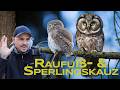 Raufußkauz & Sperlingskauz - Das musst du über sie wissen!