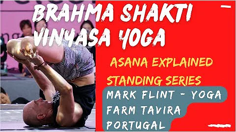 Brahma Shakti Vinyasa Yoga - asana explained stand...