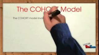 Understanding The Trace And Cohort Models