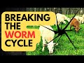 Why Your Goat or Sheep Keeps Getting Worms — Even After Deworming | How to Break the Cycle