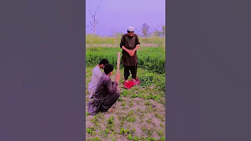 Audio Viral Foryou Subscribe 