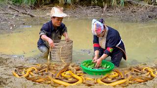 From Pumpkin Traps to Delicious Meals | Dwarf Family’s Off Grid Eel Adventure