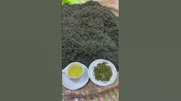 Cận cảnh đặc điểm trà đinh đặc biệt tân cương thái nguyên chỉ với 120k #trathainguyen #xuhuong