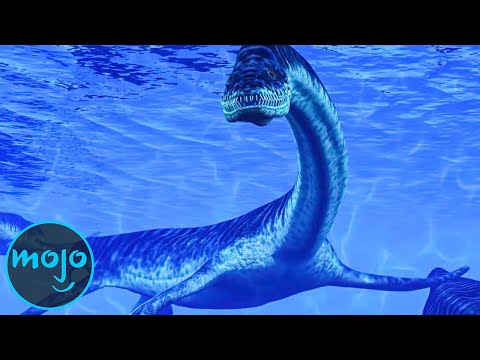 Video: Ocean Secrets - Alternative View