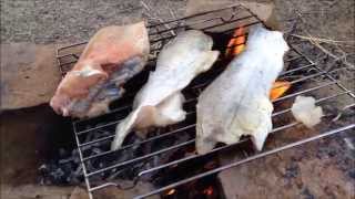 Catch and Cook Catfish *old video*