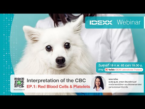 [IDEXX Webinar] Interpretation of CBC EP.1:  Red Blood Cells & Platelets