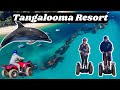 Tangalooma island resort day trip moreton island  dolphins quad bikes helicopter