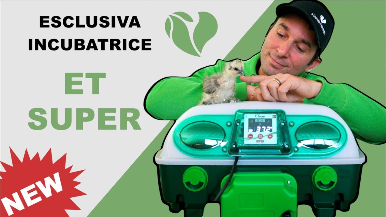 CARTA POKEMON INCUBATRICE UOVA 087/078 RARA GOLD ITA PACK FRESH POKEMON GO - Foto 4