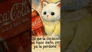 gato 😊