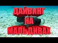 Дайвинг на Мальдивах.