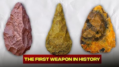 The Tool That Made Us Human