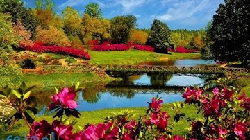 سورة المسد بصوت القارئ يوسف نوح أحمد برواية هشام عن ابن عامر Surah Al-Masad#Mesed Suresi