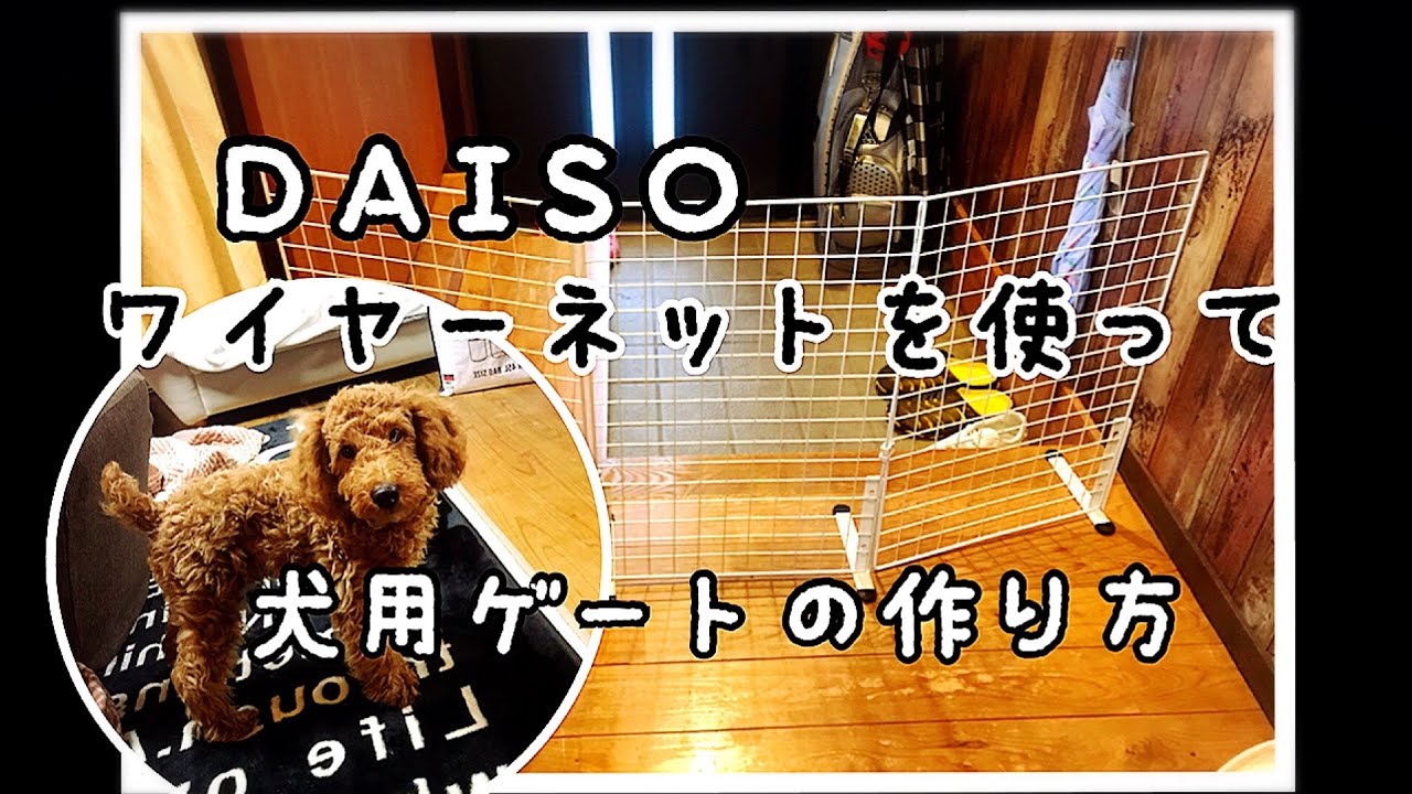 ダイソー ワイヤーネットで犬用ゲートの作り方 Youtube