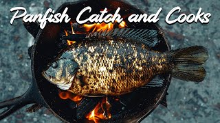 2 Hours of Crappie, Bluegill, and Invasive Cichlid Catch and Cooks
