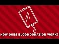 How Does Blood Donation Work? | Earth Science