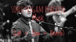 Sonu Nigam Peaceful Music | 40 min non-stop music | Lofi + Slowed +  Reverb | screenshot 4