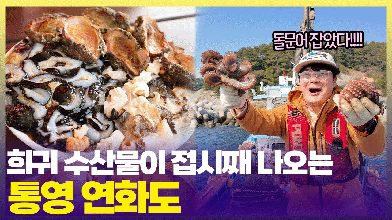 통영에서 이 정도 회 접시는 기본😎 육지에서 보기 힘든 갖가지 수산물이 모인 통영 연화도 [6시 내고향] | KBS 250328 방송