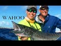 Staniel Cay / wahoo / catch clean cook / Ft. Lunkers Tv