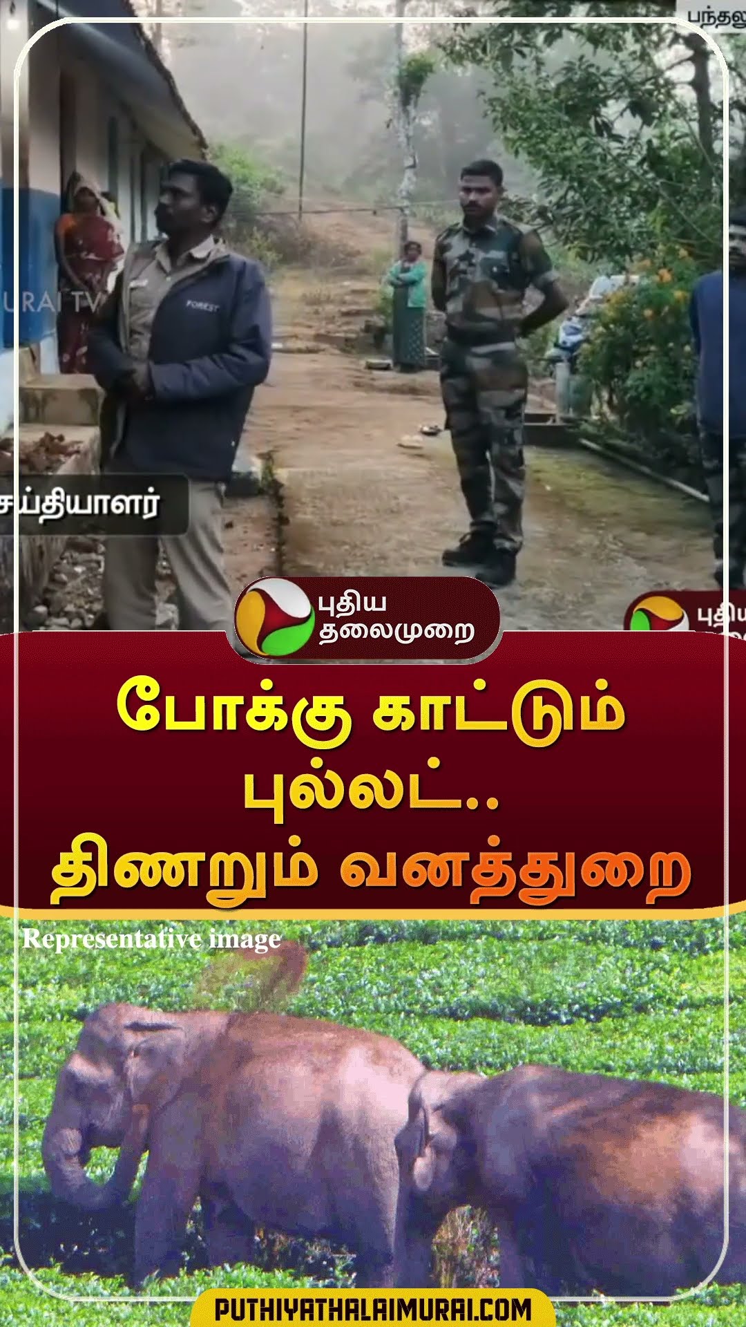 போக்கு காட்டும் புல்லட்..திணறும் வனத்துறை | #shorts | #nilgiri | #bulletelephant