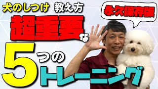 犬のしつけ 必ず教えておきたい５つの基本トレーニングをすべて解説☆