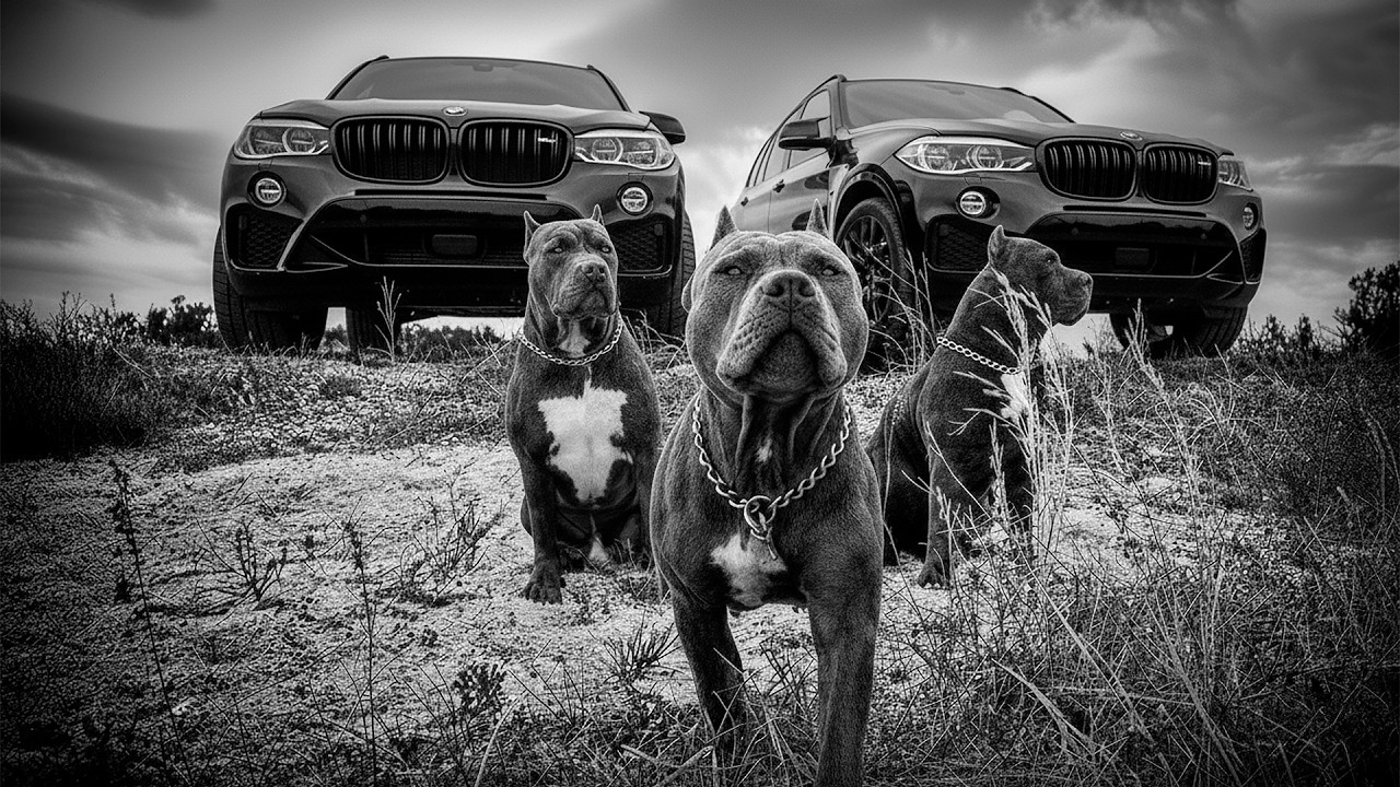 Музыка для пацанов💣Пацанские треки💣Музыкальный сборник для пацанов💣Музыка на район 2026