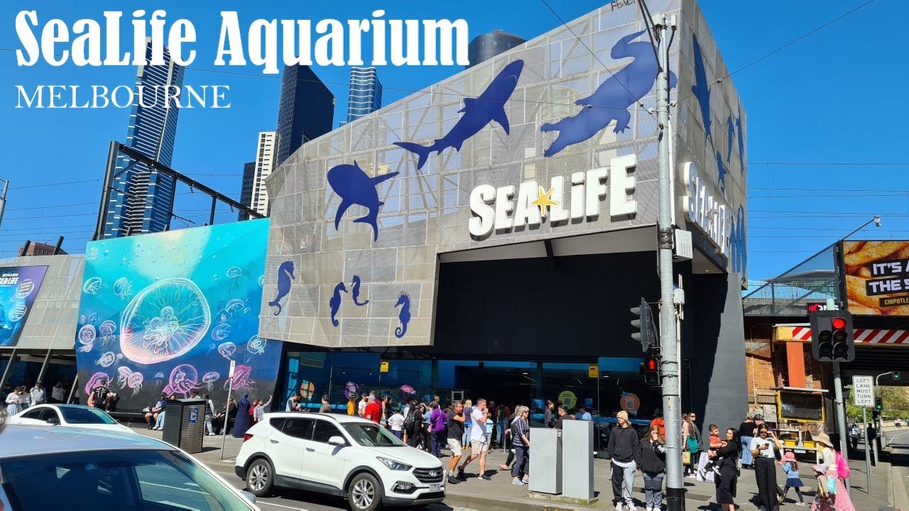 SeaLife Aquarium Melbourne YouTube