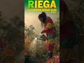 #riega. #43HZ@LaCanarioReggaeBand#reggae #rootsreggae @RootsReggaeRadio @reggamusiq #reggaeuruguayo