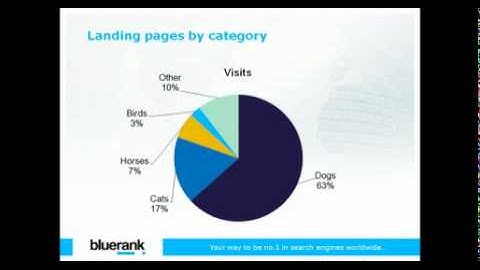 Google Analytics & SEO - Advanced KPIs and Quality Measurements 2011-10-19