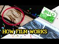 How 35mm film works