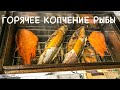 РЫБА ГОРЯЧЕГО КОПЧЕНИЯ .КОПЧЕНИЕ РЫБЫ .