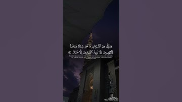 تلاوة هادئة ورائعة لفضيلة الشيخ: خالد المهنا