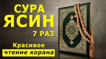 Сура Ясин 7 раз, очень красивое и спокойное чтение корана