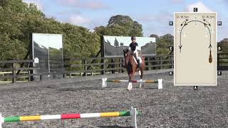 Ros Canter – Horses for courses | Stride guide | Horse&Rider