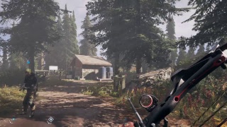 FarCry 5 Multiplayer Mix up
