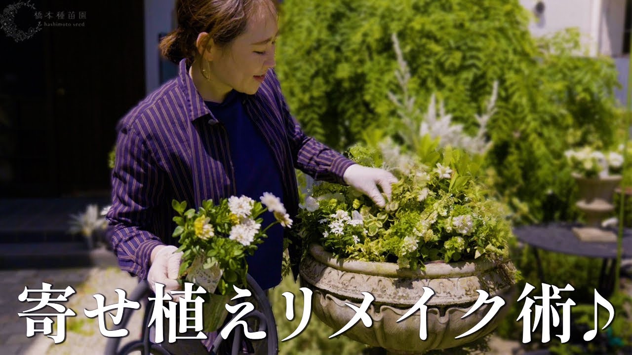 冬→夏の寄せ植えに大変身！【植え替えのコツ】 - YouTube