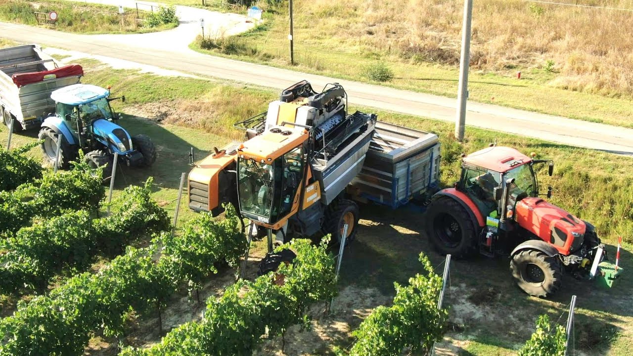 🍇 *VENDEMMIA 2022* | 3X Pellenc | Landini | Kubota | Di Credico