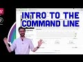 1.5: Intro to the Command Line - Git and GitHub for Poets